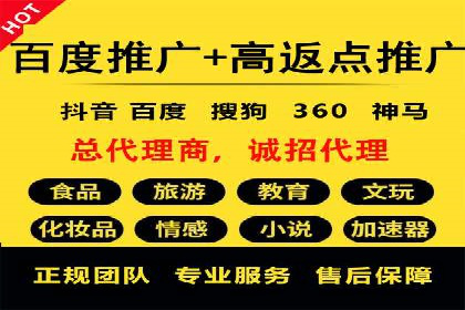 某企业选择SEM外包公司的决策与成果展示
